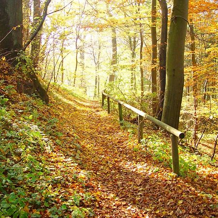 Klostergasthof Roggenburg Luaran gambar