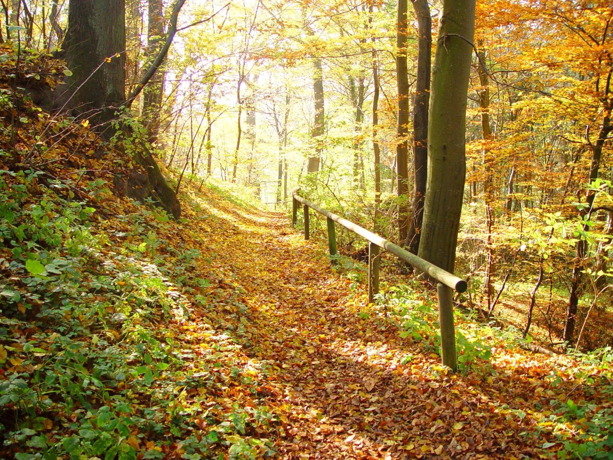 Klostergasthof Roggenburg Luaran gambar