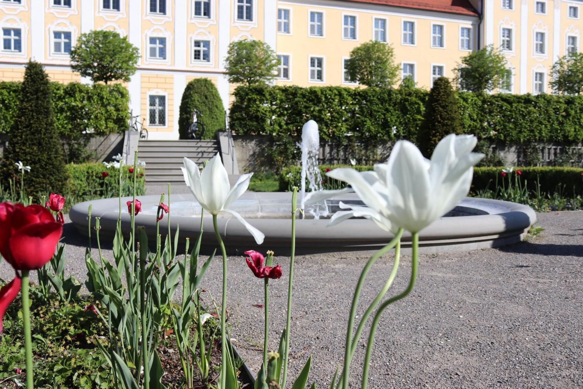Klostergasthof Roggenburg Luaran gambar