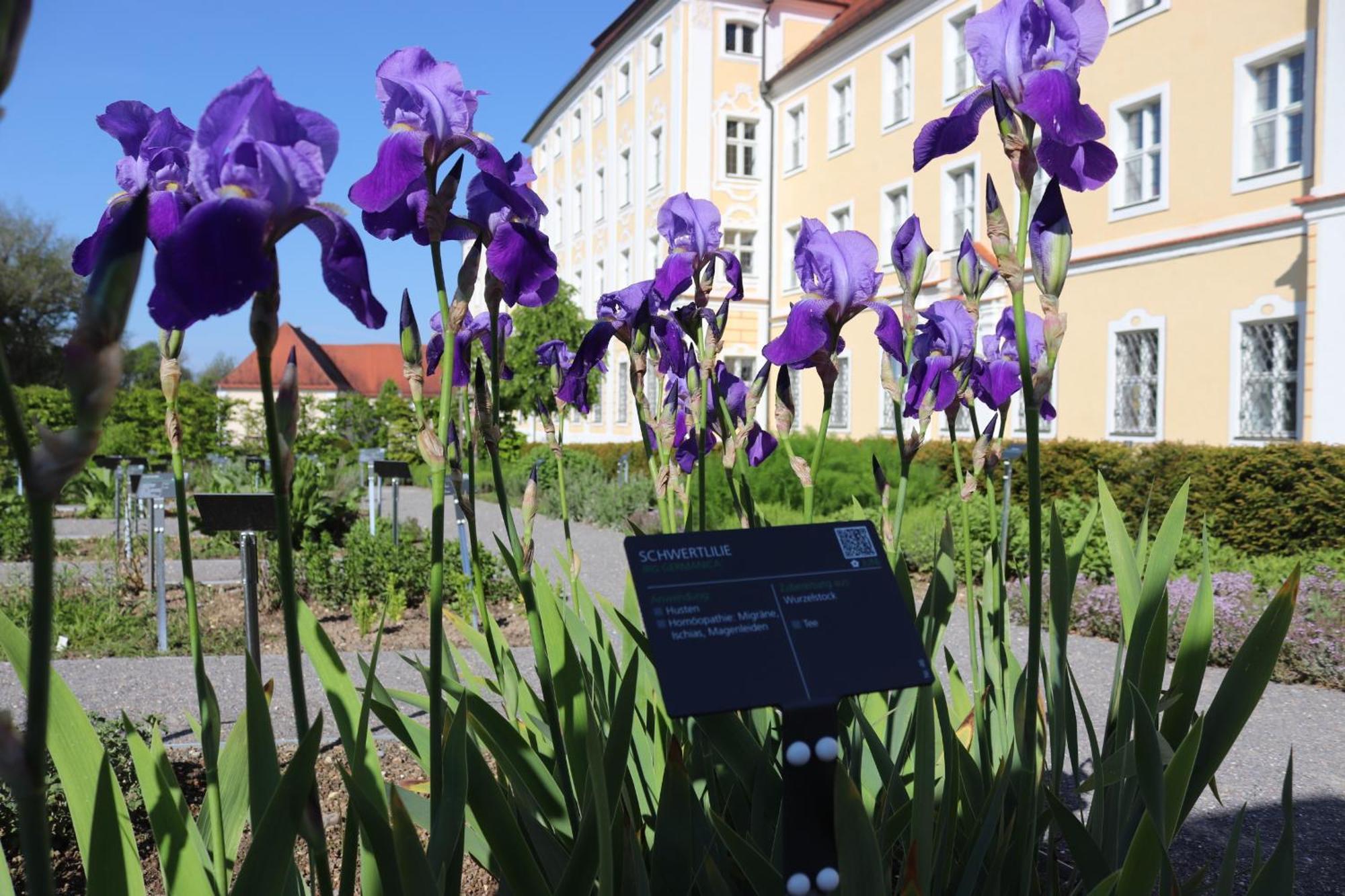 Klostergasthof Roggenburg Luaran gambar
