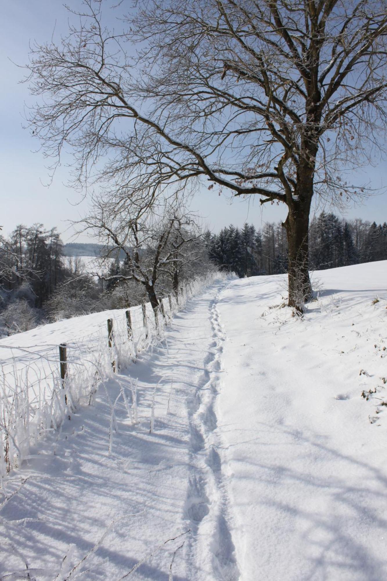 Klostergasthof Roggenburg Luaran gambar